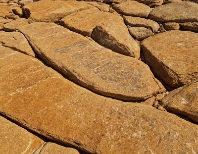 Le guide complet et pratique sur la recherche de fossiles 8 "Une représentation visuelle d'un fossile rare découvert dans les Alpes françaises, témoignant de l'ancienneté et de la diversité des formations géologiques de la région.
