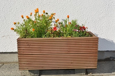 fleurs rouges et orange poussant dans un jardin en bac