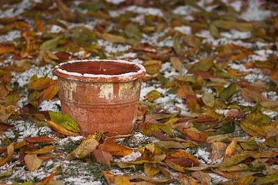 bac de jardin vide en hiver