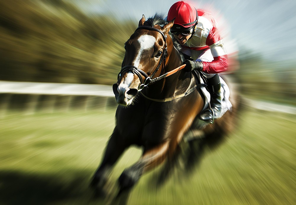 courses hippiques GazetteduPMU2