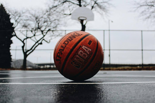 fans de basket-ball