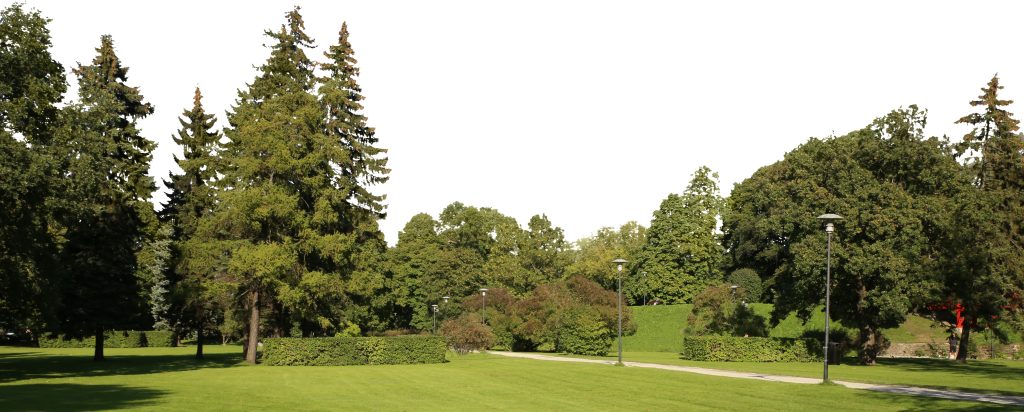Jardin public et dans les Chartrons
