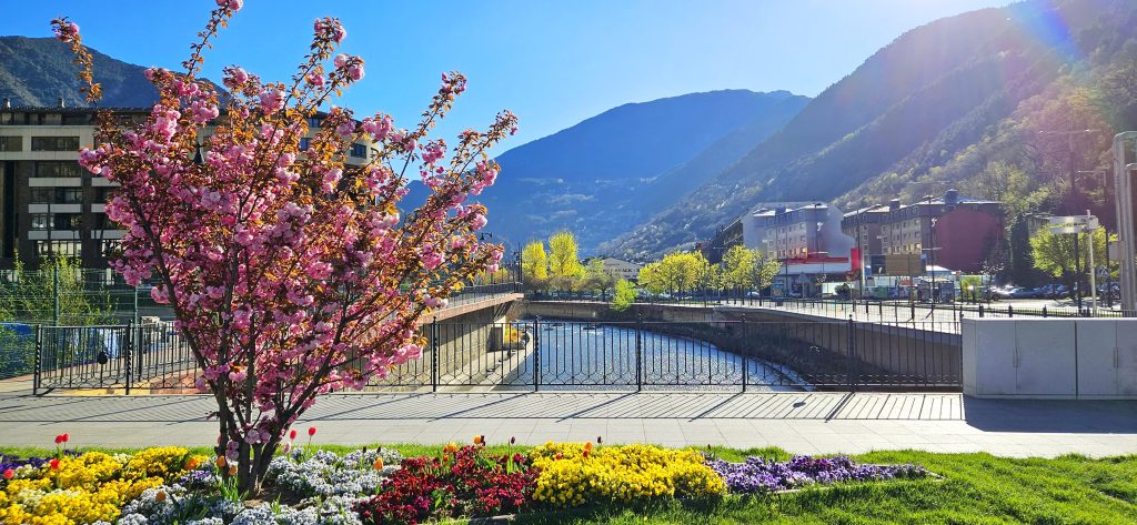 8bd463a4599ec2400037e1998dcd30b8 1