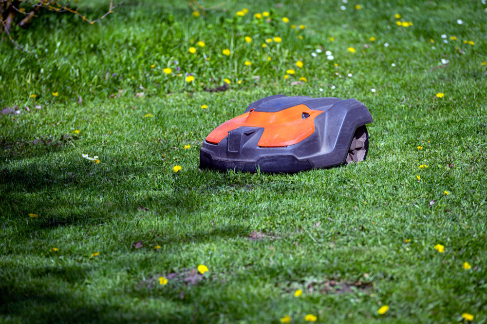 robots tondeuses